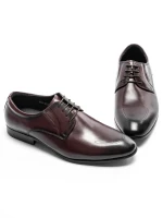 Pantofi Barbati 003-833 Ied (C43) Stephano